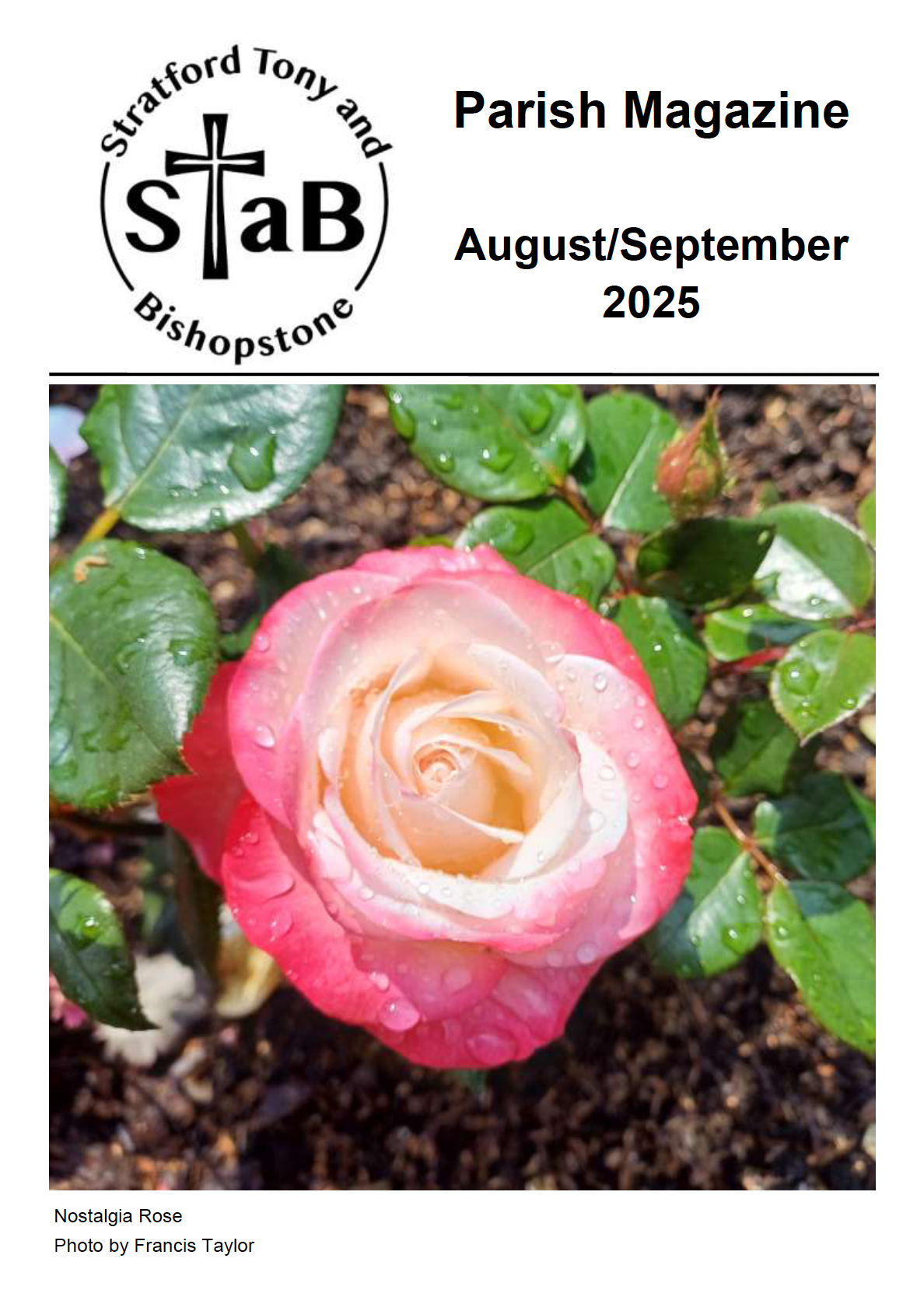 Cover of STaB August/September 2025